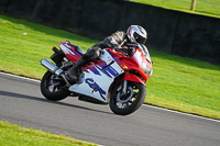 anglesey;brands-hatch;cadwell-park;croft;donington-park;enduro-digital-images;event-digital-images;eventdigitalimages;mallory;no-limits;oulton-park;peter-wileman-photography;racing-digital-images;silverstone;snetterton;trackday-digital-images;trackday-photos;vmcc-banbury-run;welsh-2-day-enduro